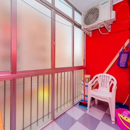 Alegria Id33 Торевьиа